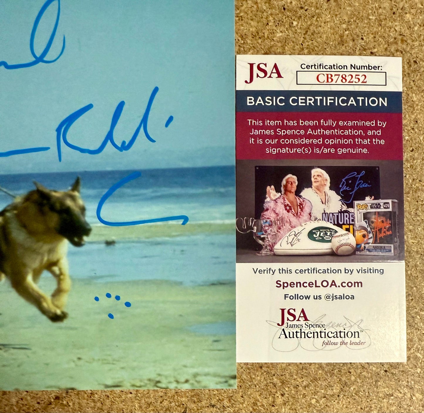 Jim Belushi Signed Autographed K-9 Dooley 8X10 Photo With JSA COA
