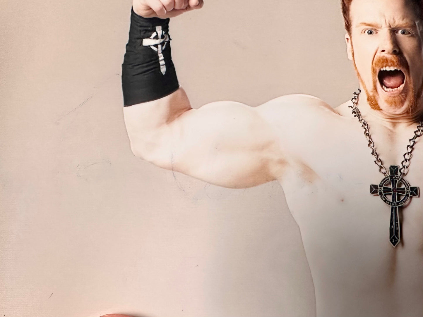 Sheamus WWE Superstar Signed 8x10 Photo With JSA COA Great White Celtic Warrior