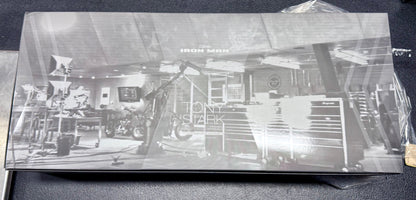 Tony Stark (Mech Test Version 2.0) Deluxe MMS582 Marvel Sixth Scale Figure by Hot Toys