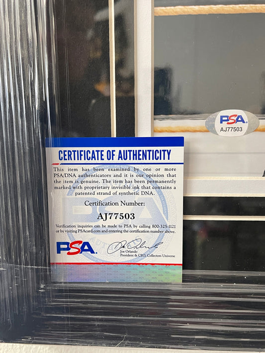 AJ Lee Signed & Framed WWE Wrestling Womens Champion Diva 8X10 With PSA/DNA COA